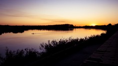 Talavera, capital de la cultura y el deporte esta primavera